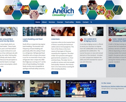 Anelich Consulting website