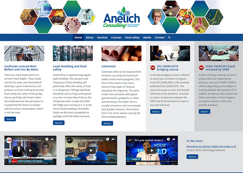 Anelich Consulting website