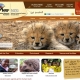 National Zoological Gardens website