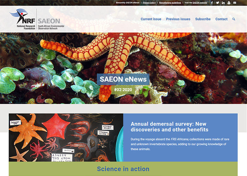 SAEON eNews website